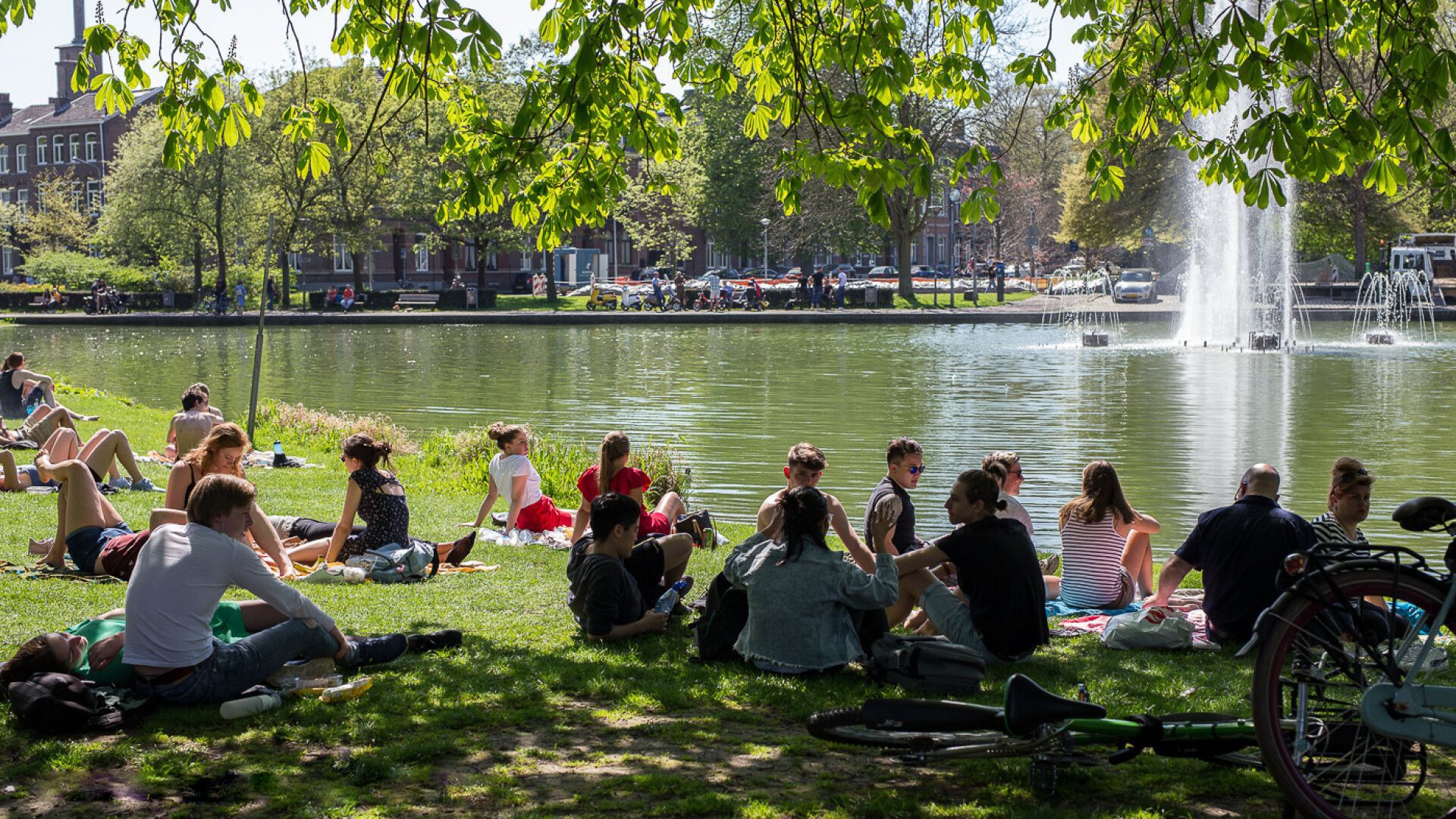 Stock Stadspark maastricht